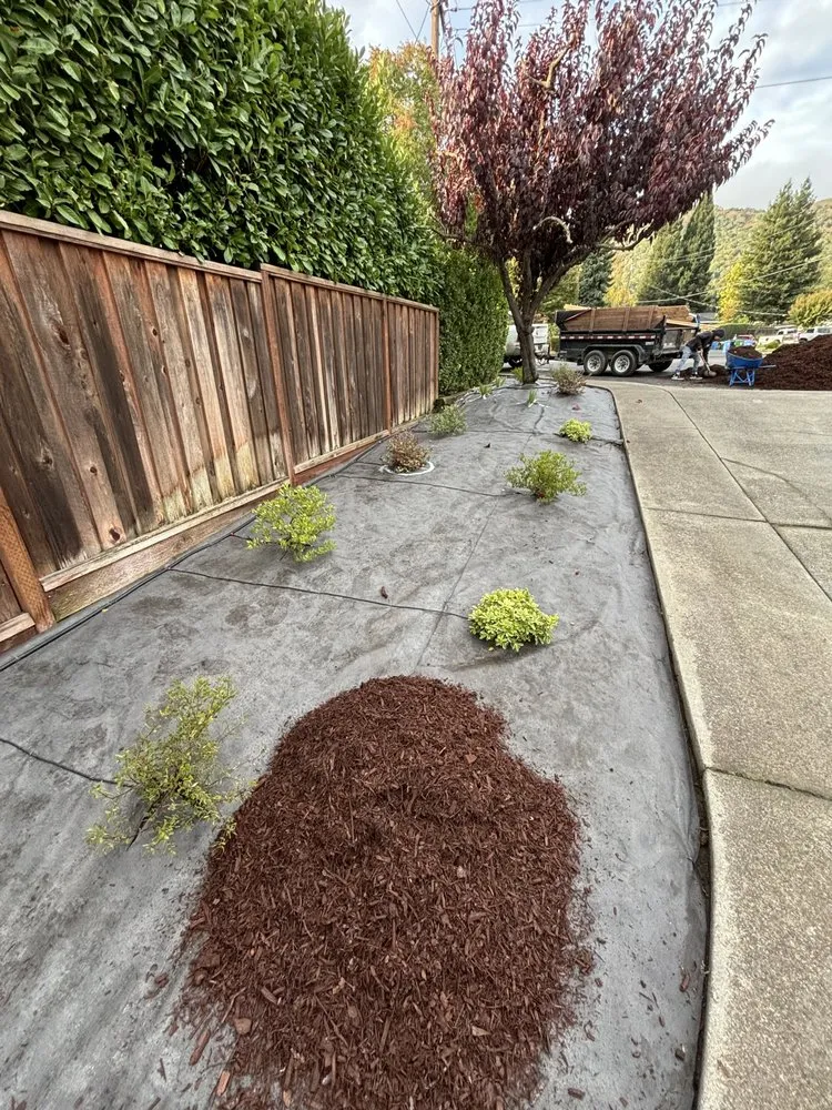 Local residential landscaping in Pleasanton, CA by Spotless Landscapes