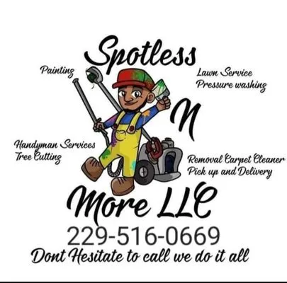 Spotless N More Logo