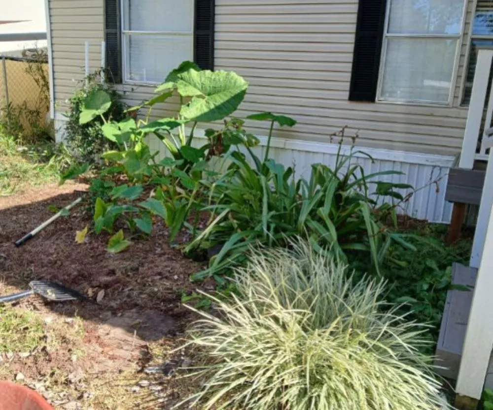 Trusted yard cleanup service near you across Citra, FL - Spotless Solutions