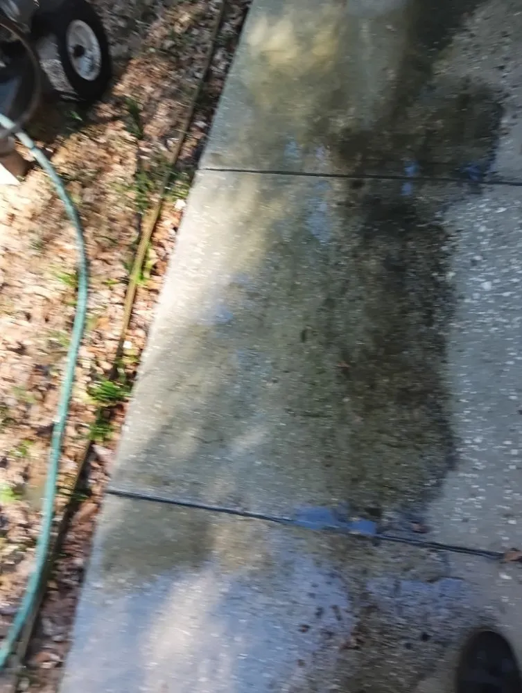 Trusted lawn care service experts serving Citra, FL - Spotless Solutions