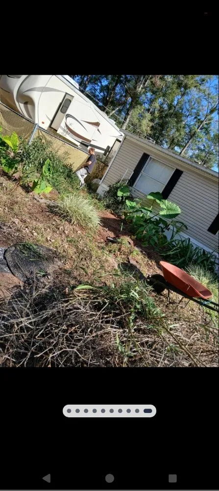 Custom lawn care service in Citra, FL by Spotless Solutions