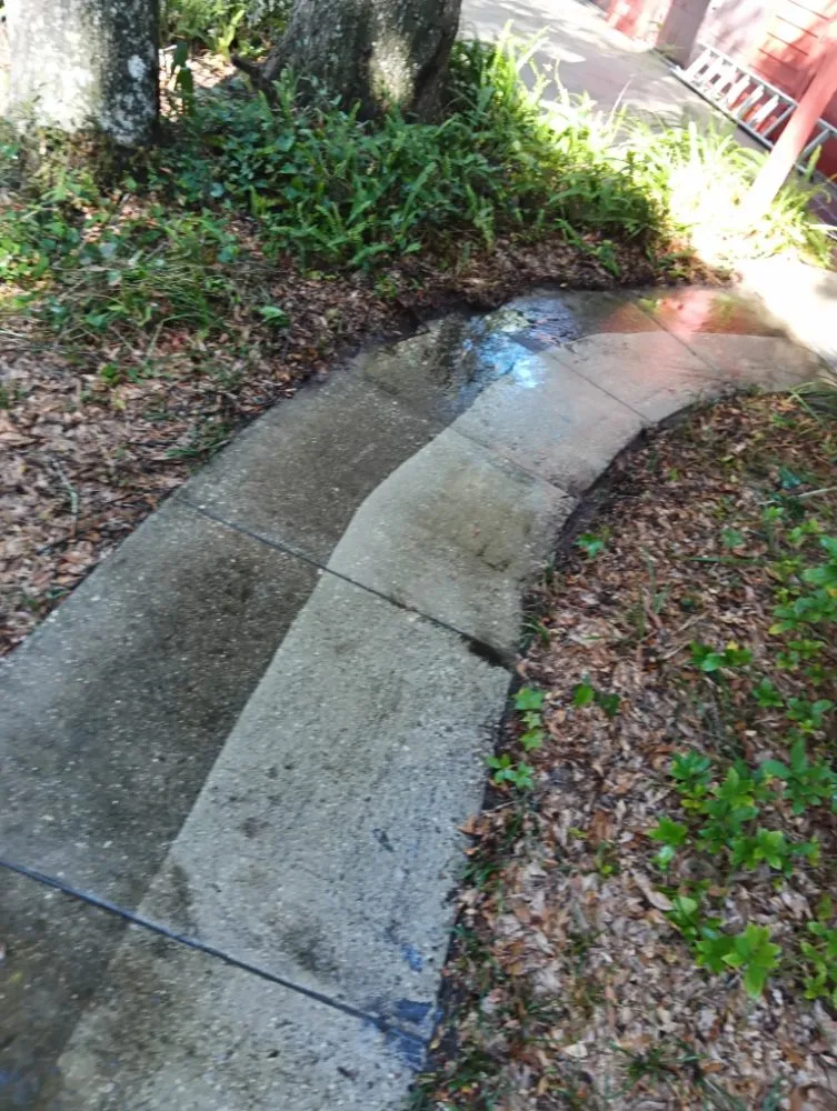 Custom lawn care service in Citra, FL - Spotless Solutions
