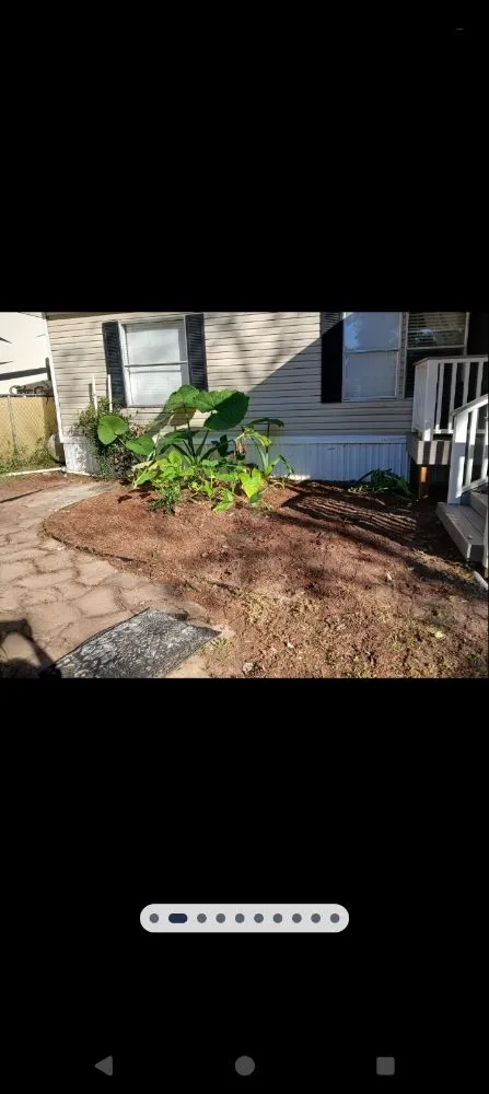 Professional yard cleanup service for outdoor upgrades in Citra, FL by Spotless Solutions