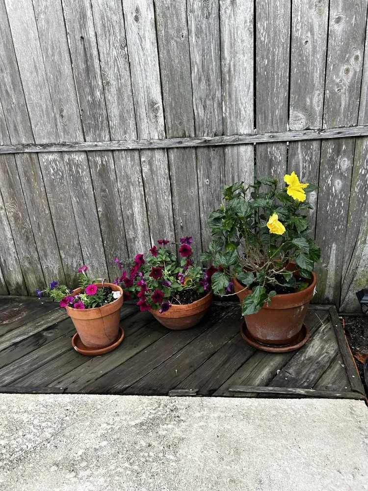 Professional garden landscaping for year-round maintenance in Houston, TX by Spotless Space Cleaning And Organizing