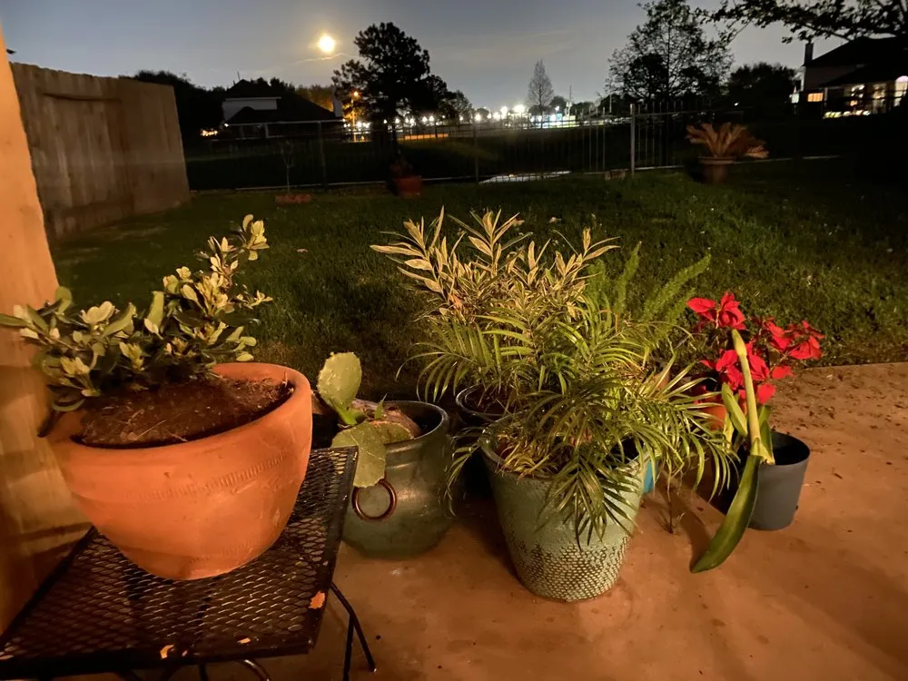 Trusted landscape installation in Houston, TX - Spotless Space Cleaning And Organizing