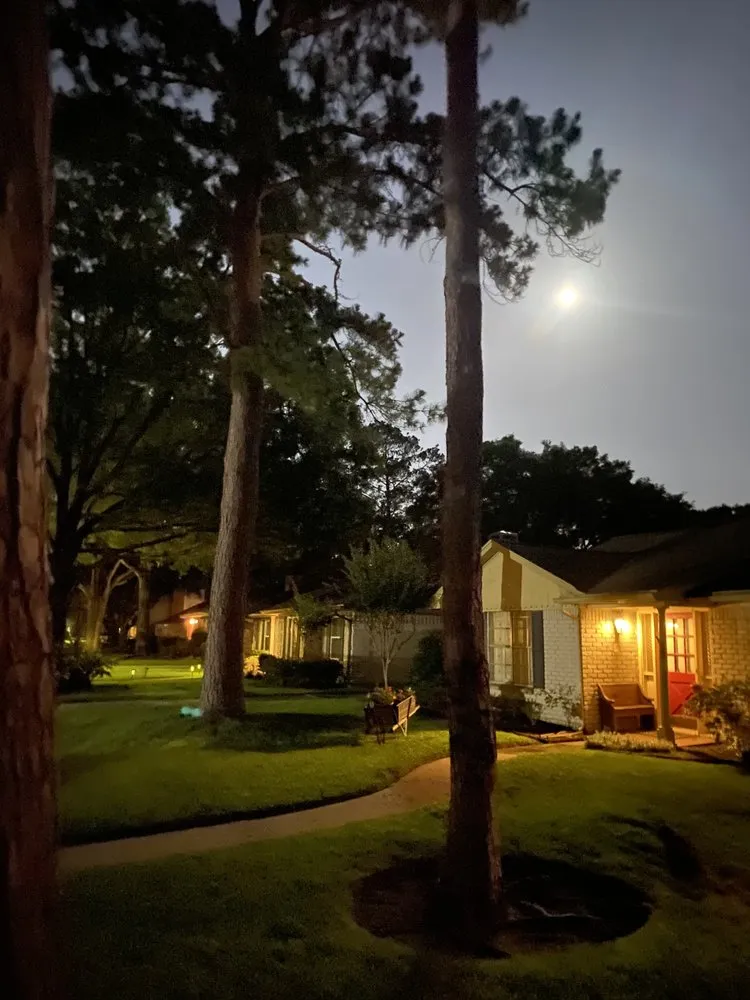 Trusted yard cleanup service in Houston, TX - Spotless Space Cleaning And Organizing