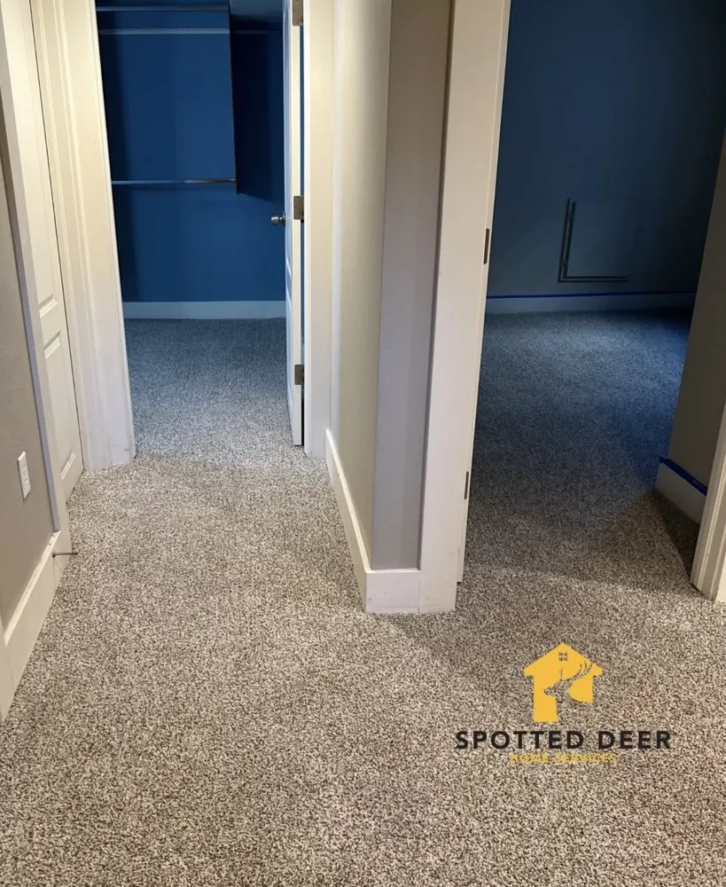 Trusted outdoor landscaping experts serving Greenwood Village, CO - Spotted Deer Remodels