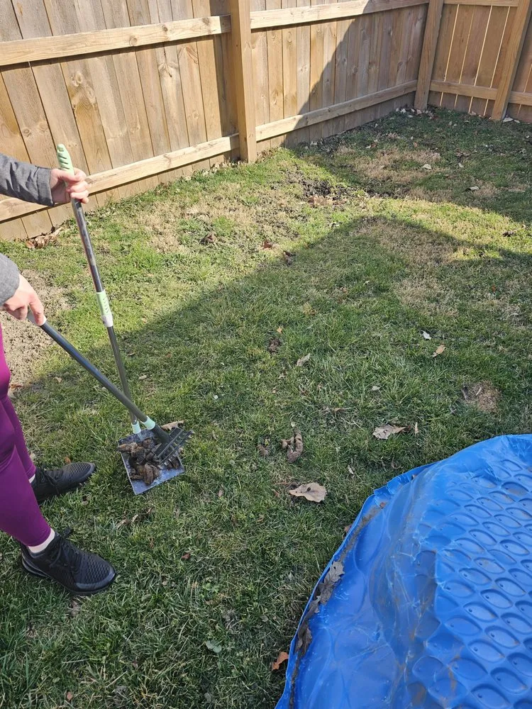 Reliable lawn care service for homes across Toledo, OH - Spottless Pet Services