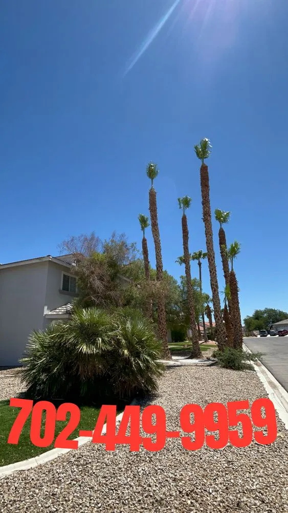 Trusted residential landscaping for homes across Las Vegas, NV - Spr Landscape