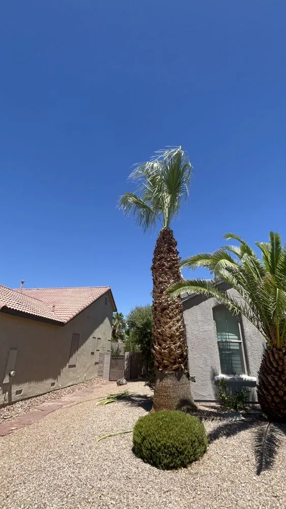 Expert landscaping services in Las Vegas, NV - Spr Landscape