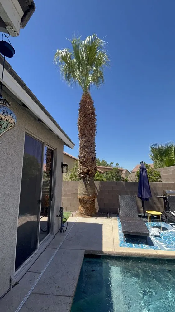 Professional landscape installation for residential properties across Las Vegas, NV - Spr Landscape