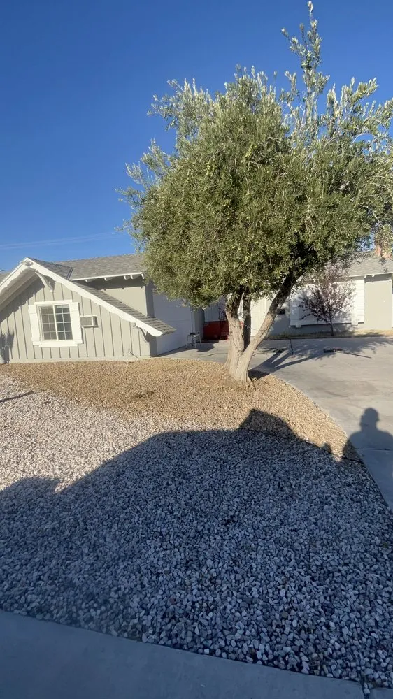 Local lawn care service for year-round maintenance across Las Vegas, NV - Spr Landscape