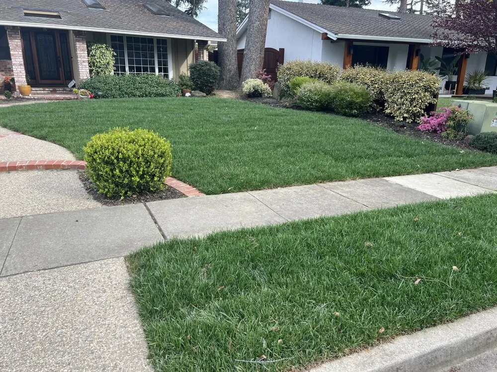 Expert lawn care service with custom design across Fremont, CA - SPR Landscaping