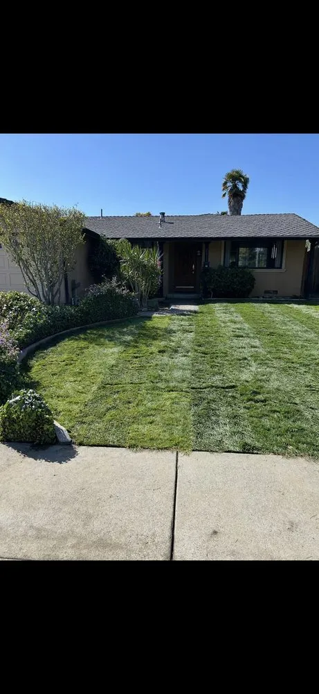 Affordable lawn care service experts serving Fremont, CA - SPR Landscaping