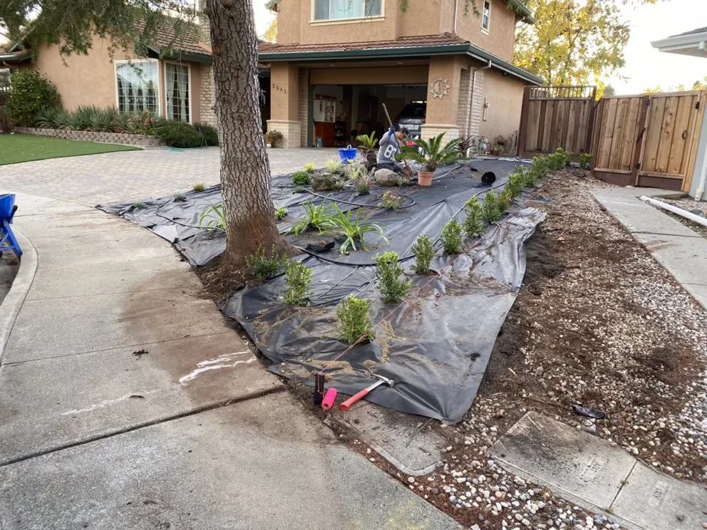 Expert outdoor landscaping experts serving Fremont, CA - SPR Landscaping