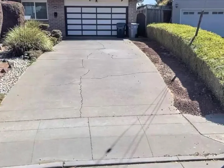 Top-rated yard maintenance in Fremont, CA - SPR Landscaping