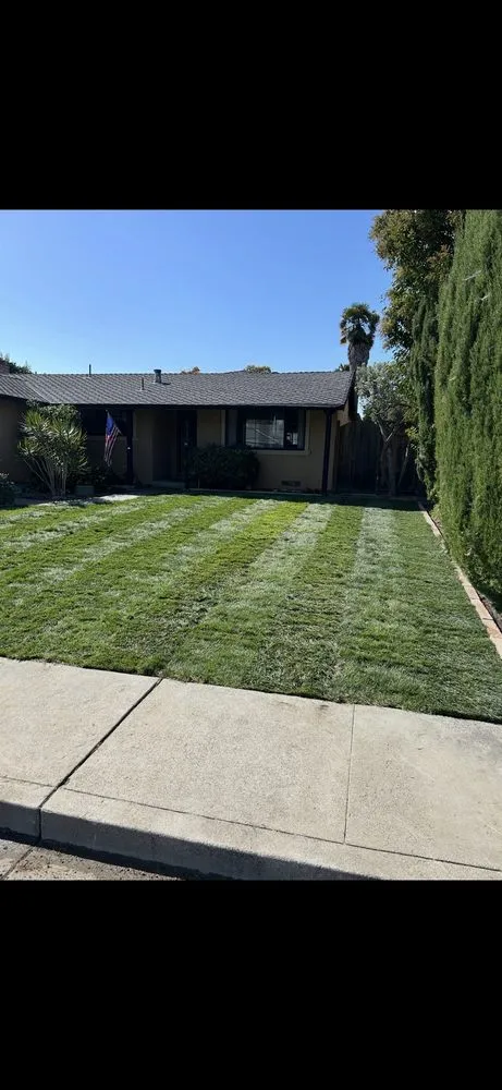 Local yard maintenance in Fremont, CA - SPR Landscaping