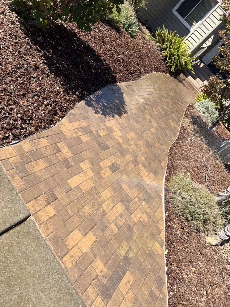 Expert yard maintenance experts serving Fremont, CA - SPR Landscaping