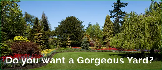 Local yard maintenance in Clayton, OH by Spradlin & Sons Lawn Care