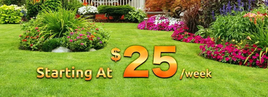 Reliable landscape design in Clayton, OH by Spradlin & Sons Lawn Care