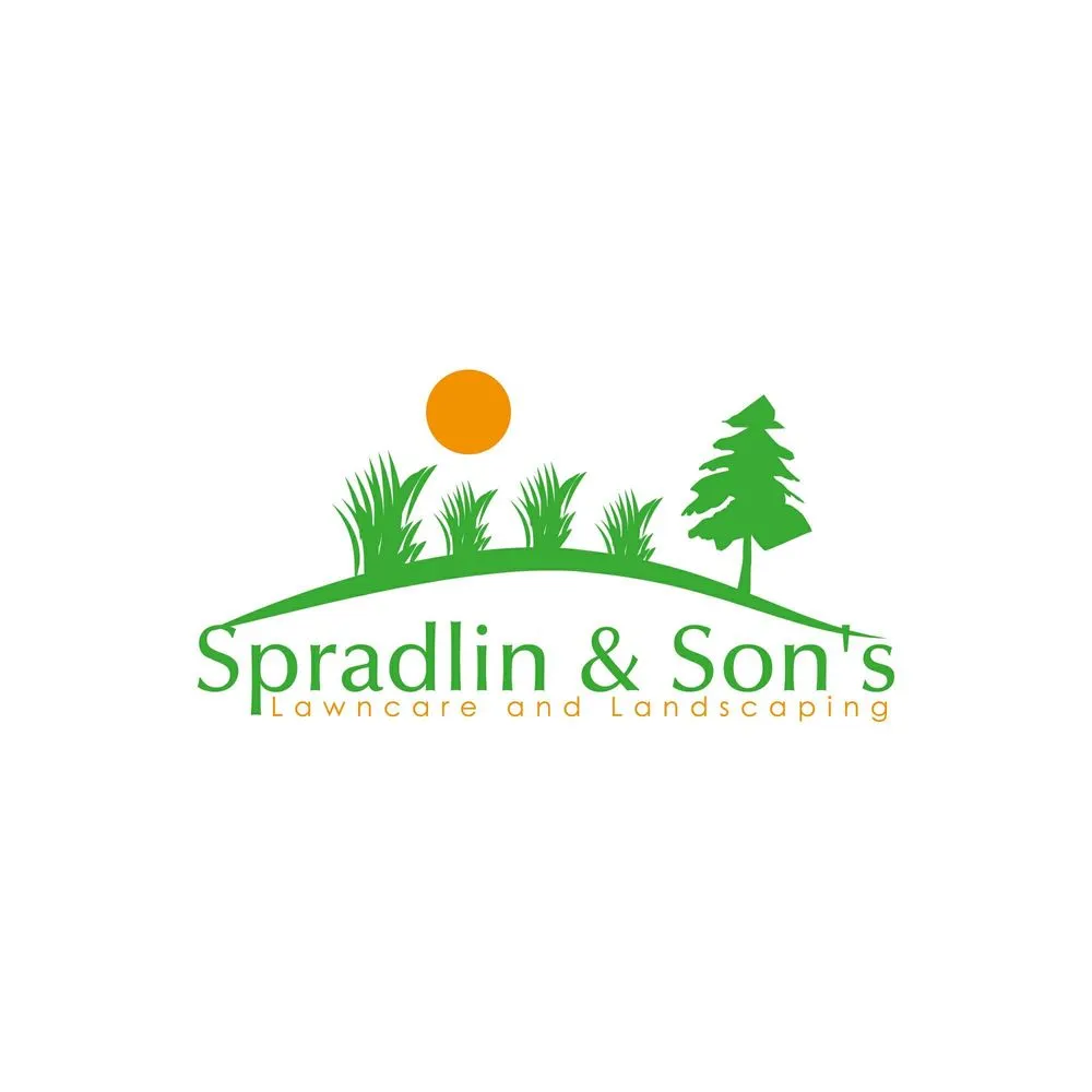 Top-rated lawn care service for homes across Clayton, OH - Spradlin & Sons Lawn Care