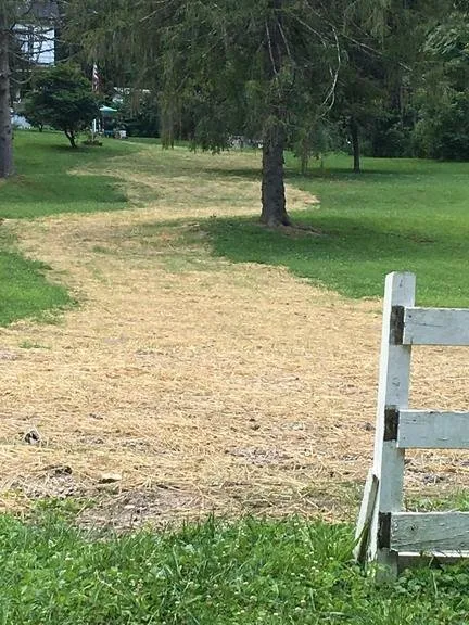 Reliable yard maintenance in Charleston, WV by Spradling Excavating