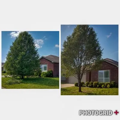 Sprague's Kik'n Grass