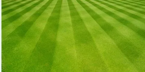 Reliable yard maintenance for homes in Ligonier, IN by Sprague's Lawn Service