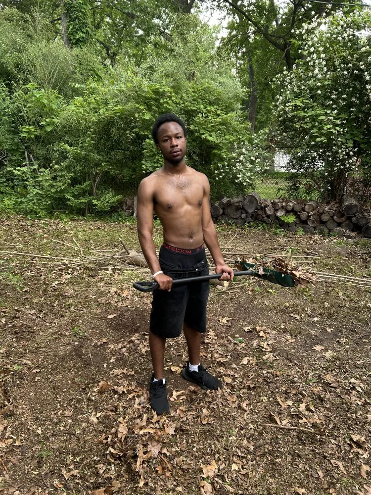 Reliable landscaping services in Detroit, MI by Spratt’s Lawn Kare