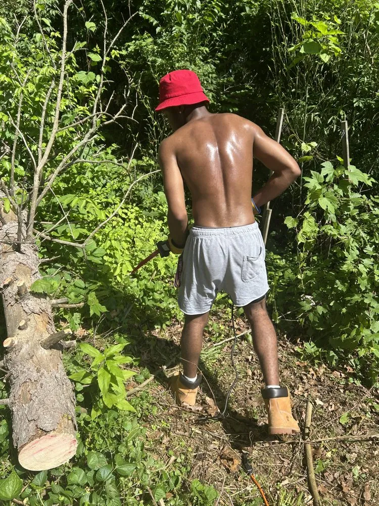 Expert yard maintenance in Detroit, MI by Spratt’s Lawn Kare