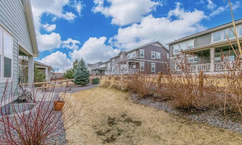 Professional yard maintenance experts serving Longmont, CO - Spray & Shine Landscape