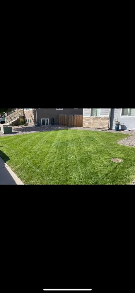 Expert landscape installation for homes in Longmont, CO by Spray & Shine Landscape