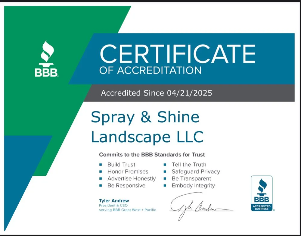 Local outdoor landscaping in Longmont, CO by Spray & Shine Landscape