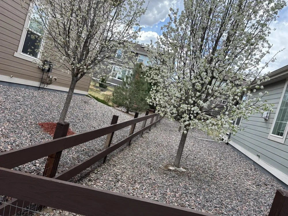 Top-rated landscape installation in Longmont, CO by Spray & Shine Landscape