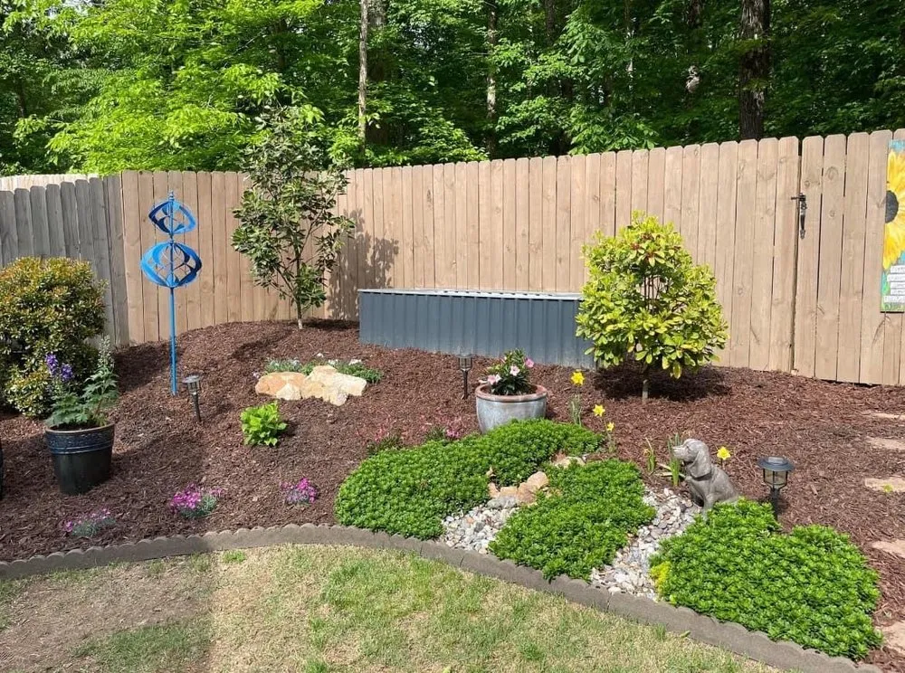 Affordable yard maintenance in Longmont, CO by Spray & Shine Landscape