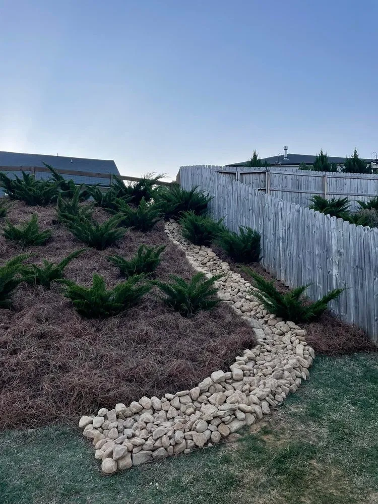 Affordable lawn care service in Longmont, CO by Spray & Shine Landscape