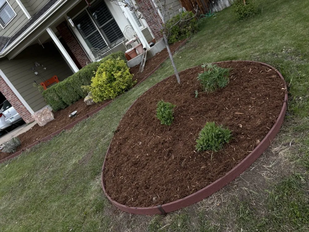 Professional landscape installation with custom design in Longmont, CO by Spray & Shine Landscape