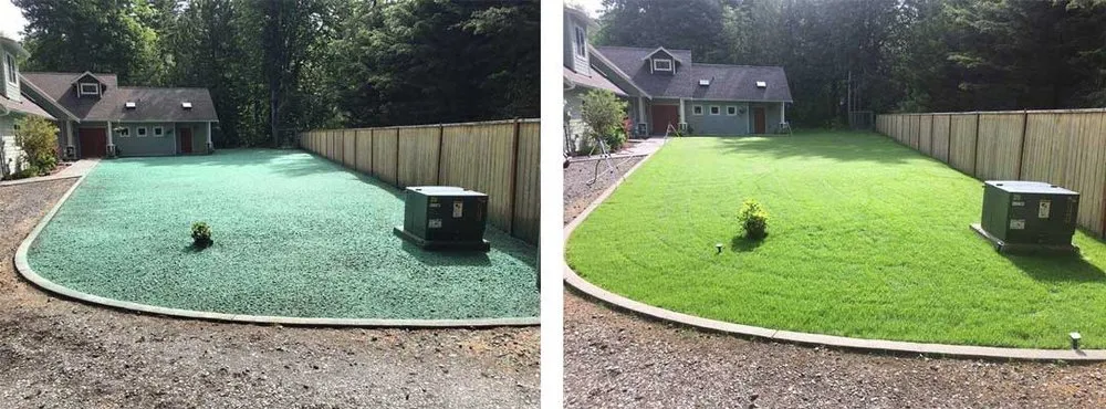 Professional garden landscaping for year-round maintenance across Auburn, WA - Spray Lawn Hydroseeding