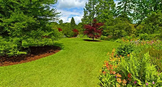 Expert landscape installation with custom design across Sanford, NC - Spray Masters
