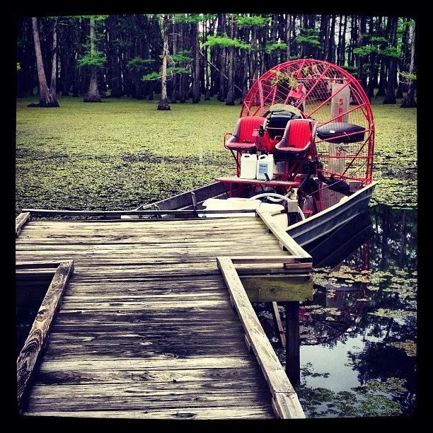 Custom yard cleanup service in Houston, TX - Sprayco-Commercial Weed Control