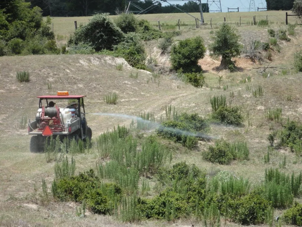 Custom yard cleanup service experts serving Houston, TX - Sprayco-Commercial Weed Control