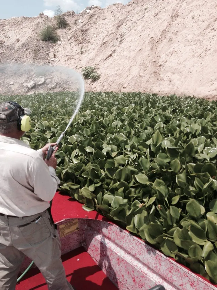 Expert yard maintenance experts serving Houston, TX - Sprayco-Commercial Weed Control