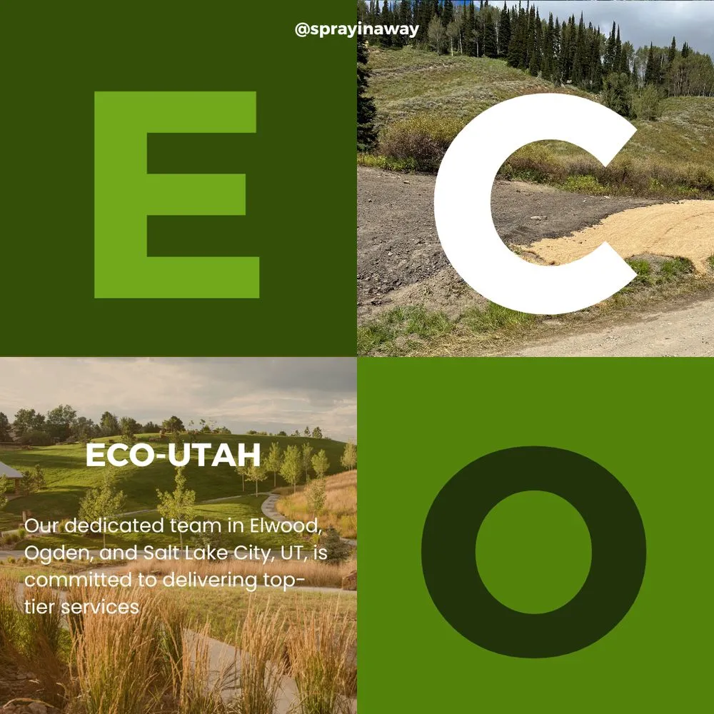 Top-rated landscape installation near you in Elwood, UT by Sprayin Away