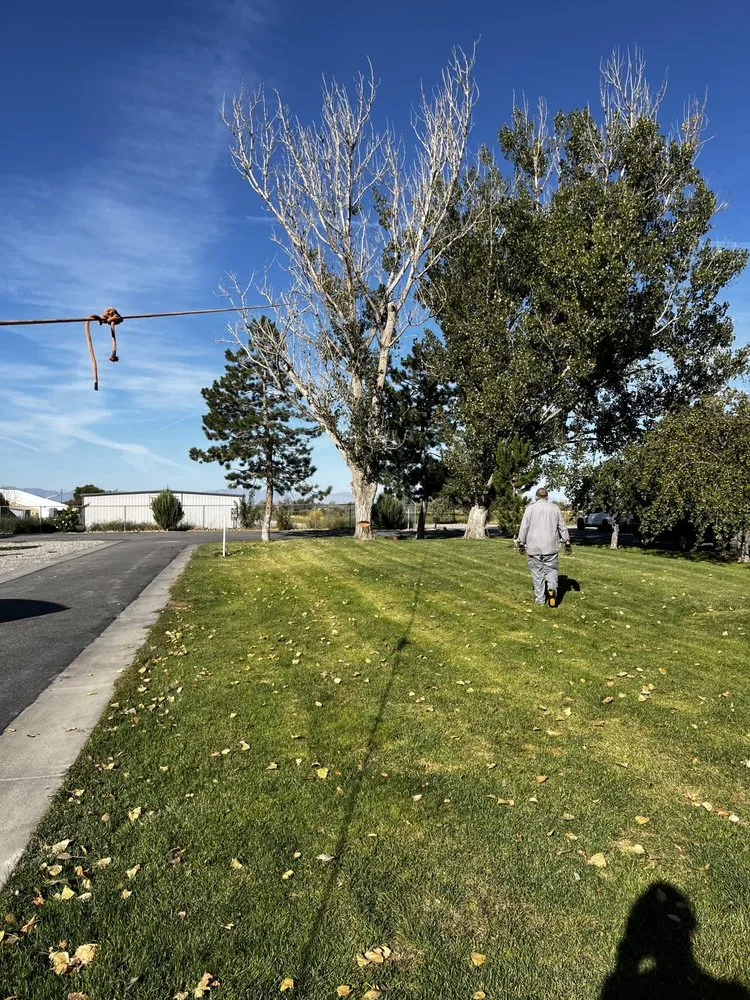 Reliable lawn mowing service in Elwood, UT by Sprayin Away