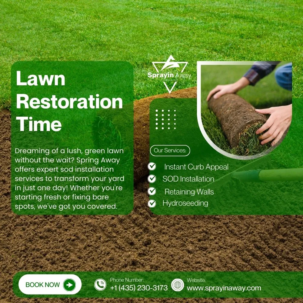 Affordable residential landscaping for homes in Elwood, UT by Sprayin Away