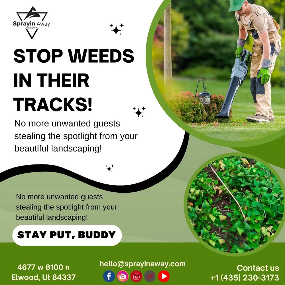 Professional yard cleanup service for outdoor upgrades in Elwood, UT by Sprayin Away