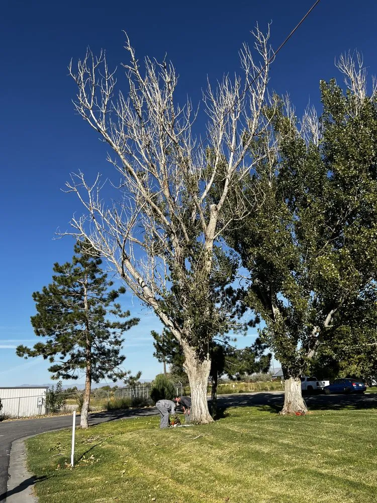 Trusted landscape design with custom design in Elwood, UT by Sprayin Away