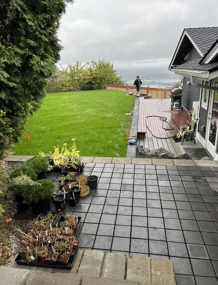 Affordable lawn mowing service in Des Moines, WA by SprayLawn Hydroseeding