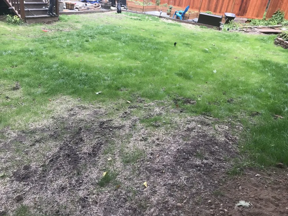 Custom residential landscaping for residential properties across Des Moines, WA - SprayLawn Hydroseeding