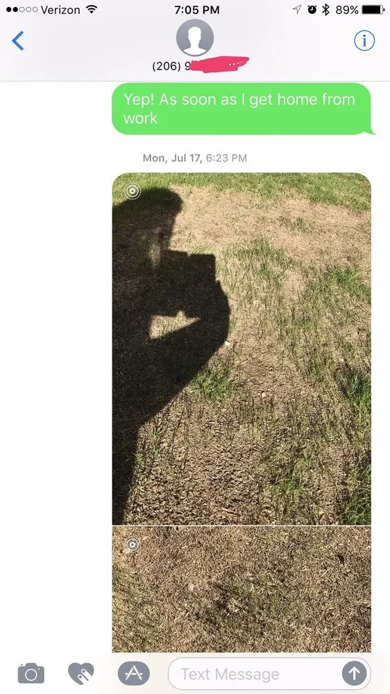 Custom yard cleanup service in Des Moines, WA by SprayLawn Hydroseeding